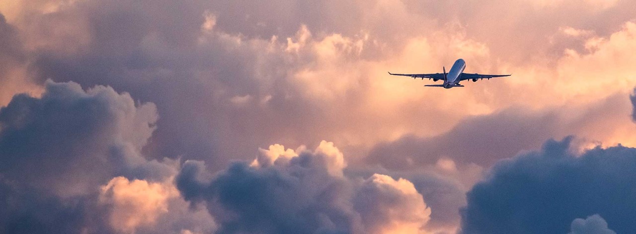 flight